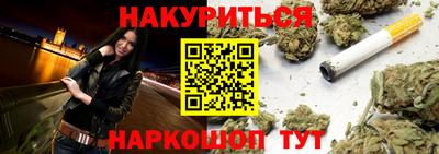 Альфа ПВП Гудермес