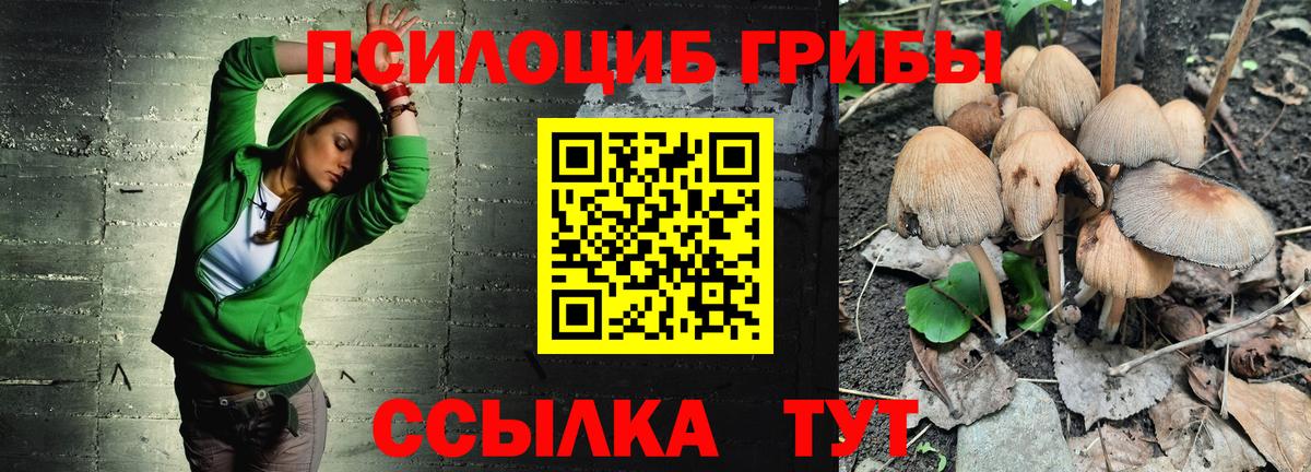Псилоцибиновые грибы мицелий Всеволожск