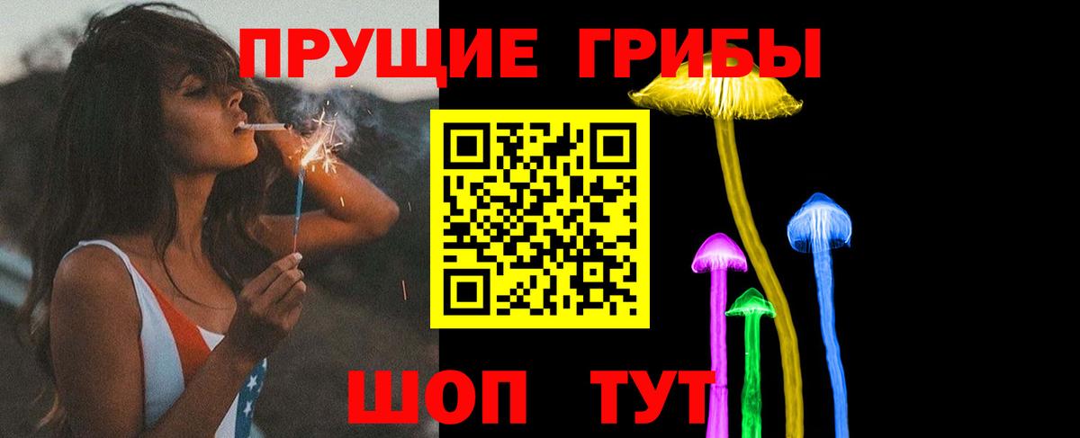 Всеволожск  Псилоцибиновые грибы MAGIC MUSHROOMS  Вход с VPN 